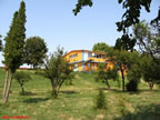 Faleza-2.jpg (150kb)