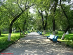 Parcul.jpg (200kb)