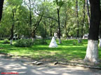 Parc-1.jpg (199kb)