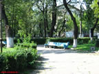 Parc-2.jpg (171kb)